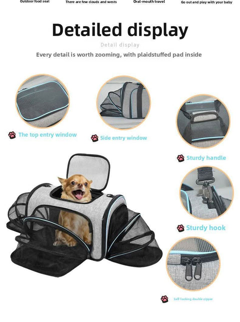 Airline Approved Foldable Ventilated 4-Door Portable Pet Carrier - petsbene