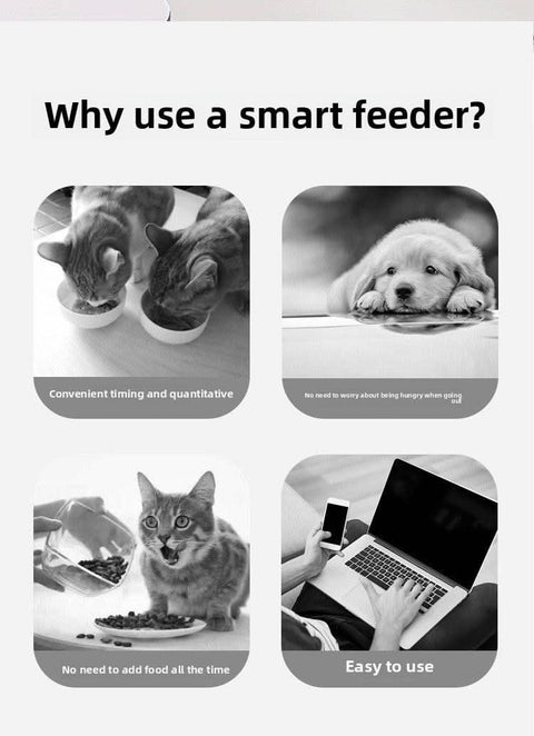Pet Smart Feeder Mobile Control Auto Cat Feeder 3L - petsbene