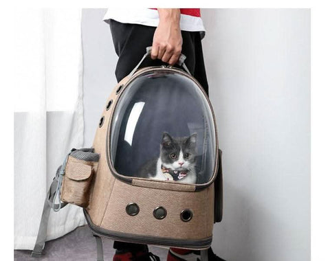Stylish Foldable Transparent Pet Backpack for Cats Dogs Travel - petsbene
