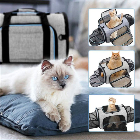 Airline Approved Foldable Ventilated 4-Door Portable Pet Carrier - petsbene