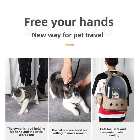 Stylish Foldable Transparent Pet Backpack for Cats Dogs Travel - petsbene