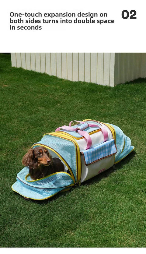 Pet Airline Carrier Extension Large Capacity All Seasons Cat Dog Travel Bag - petsbene