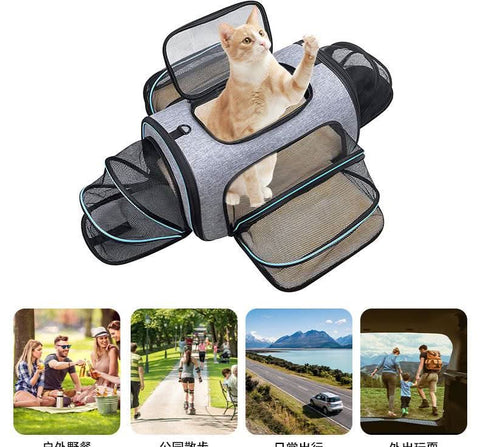 Airline Approved Foldable Ventilated 4-Door Portable Pet Carrier - petsbene
