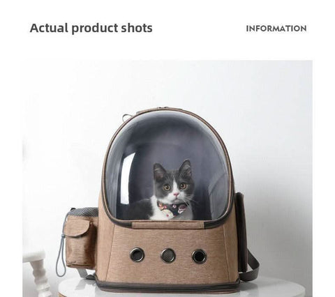 Stylish Foldable Transparent Pet Backpack for Cats Dogs Travel - petsbene