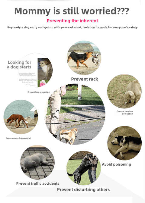 Convenient Pet Handbag Canvas Design for Travel - petsbene
