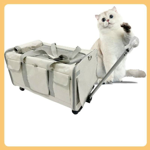 Airline Approved Portable Cat Carrier New Pet Suitcase - petsbene