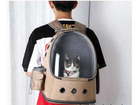 Stylish Foldable Transparent Pet Backpack for Cats Dogs Travel - petsbene