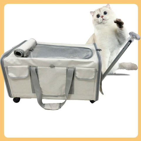 Airline Approved Portable Cat Carrier New Pet Suitcase - petsbene