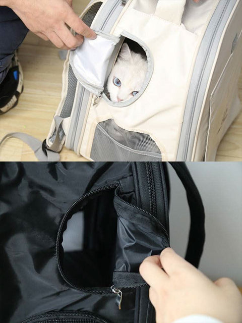 Airline Approved Cat Carrier Backpack - petsbene