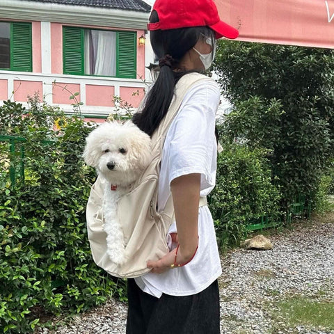Portable PET backpack dog cat carrier outdoor travel bag - petsbene