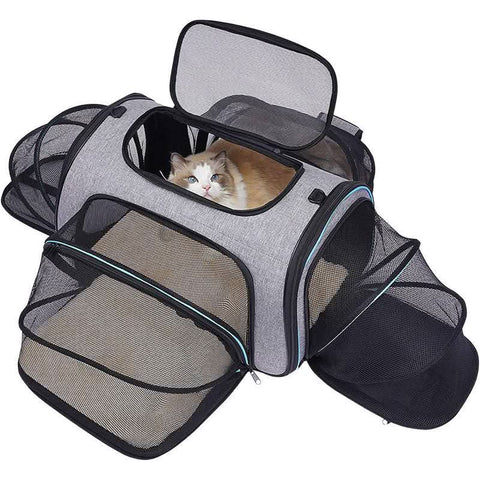 Airline Approved Foldable Ventilated 4-Door Portable Pet Carrier - petsbene