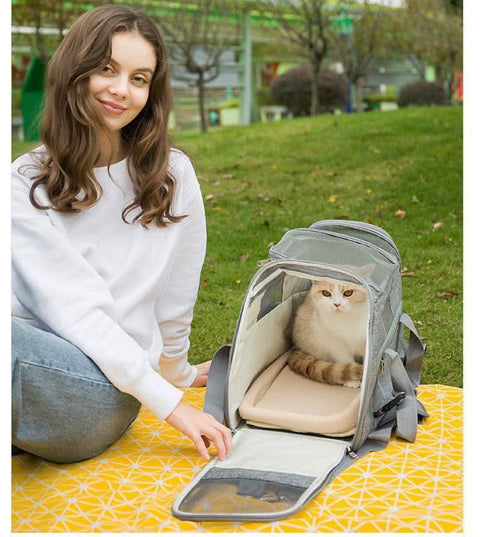 Airline Approved Large Pet Carrier Bag Multipurpose Car Travel Bag - petsbene