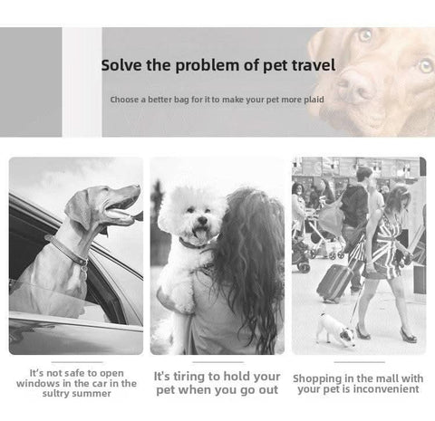 Airline Approved Large Pet Carrier Bag Multipurpose Car Travel Bag - petsbene