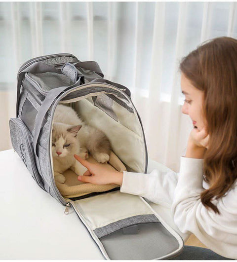 Airline Approved Large Pet Carrier Bag Multipurpose Car Travel Bag - petsbene