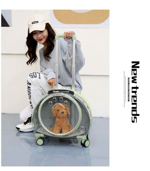 Airline Approved Pet Travel Bag - petsbene