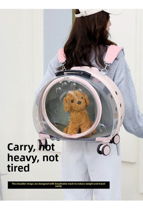 Airline Approved Pet Travel Bag - petsbene