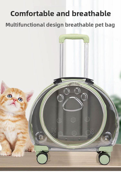 Airline Approved Pet Travel Bag - petsbene