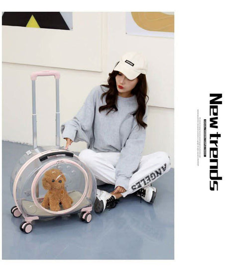 Airline Approved Pet Travel Bag - petsbene