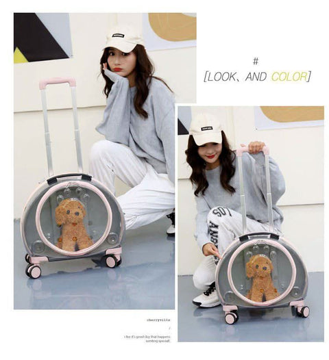 Airline Approved Pet Travel Bag - petsbene