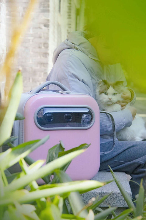Breathable Pet Space Capsule Carrier Large Portable Backpack Approved for Travel - petsbene