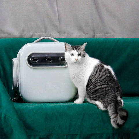 Breathable Pet Space Capsule Carrier Large Portable Backpack Approved for Travel - petsbene