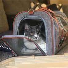 Airline Approved Soft Pet Carrier Cat Handbag Self Locking Zip - petsbene