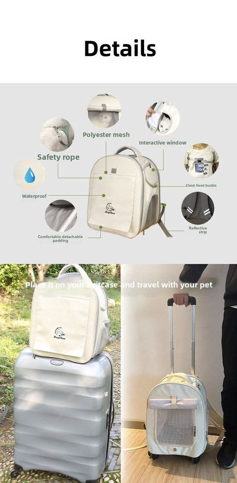 Airline Approved Cat Carrier Backpack - petsbene