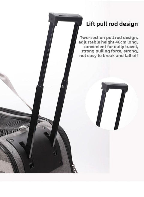 Dog Outdoor Portable Suitcase Extra Large Waterproof Cat Carrier Airy Pet Bag - petsbene