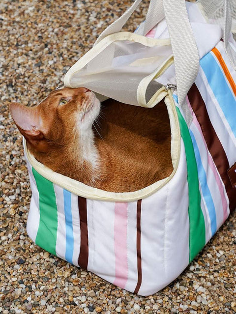 Casual Cat Carrier Backpack Portable Pet Bag for Outings - petsbene