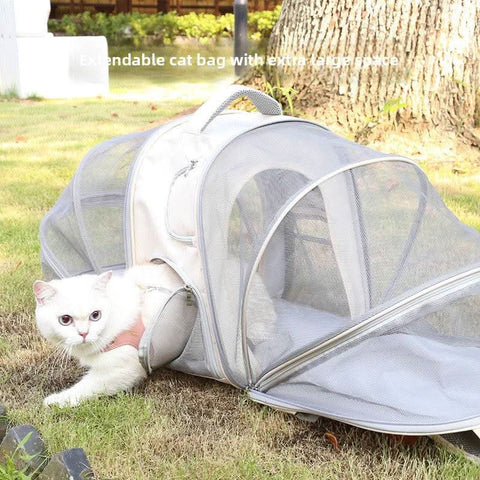 Airline Approved Cat Carrier Backpack - petsbene
