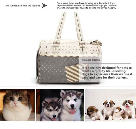 Convenient Pet Handbag Canvas Design for Travel - petsbene
