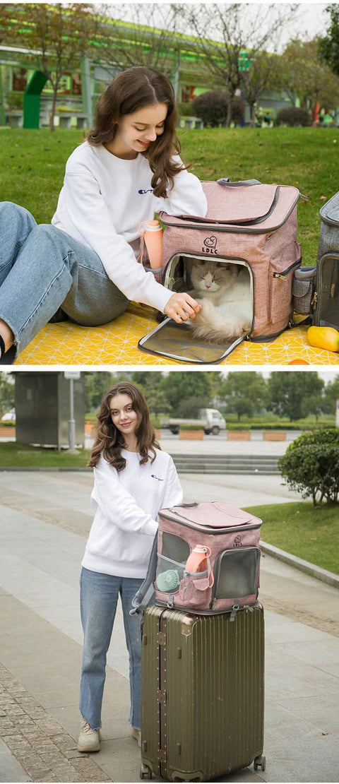 Large Cat Backpack for Two Cats Foldable Pet Airline Approved - petsbene