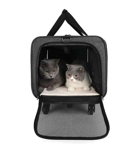 New Cat Travel Bag Portable Pet Suitcase Detachable Wheels Breathable - petsbene