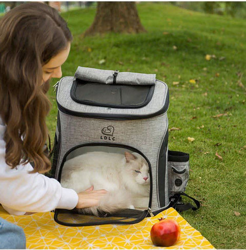 Pet Backpack Dual Shoulder Oxford Fabric Portable Cat Dog Carrier - petsbene