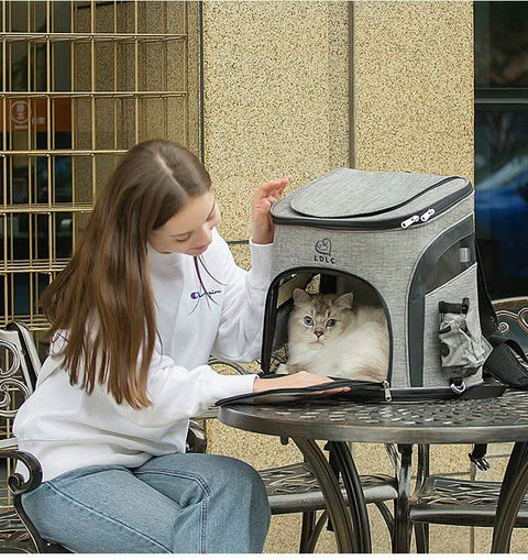 Pet Backpack Dual Shoulder Oxford Fabric Portable Cat Dog Carrier - petsbene
