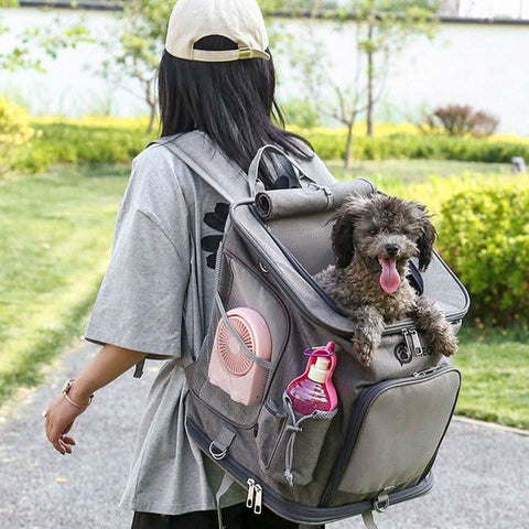 Portable PET Backpack Foldable Dogs and Cats Strap Travel Flight Case - petsbene