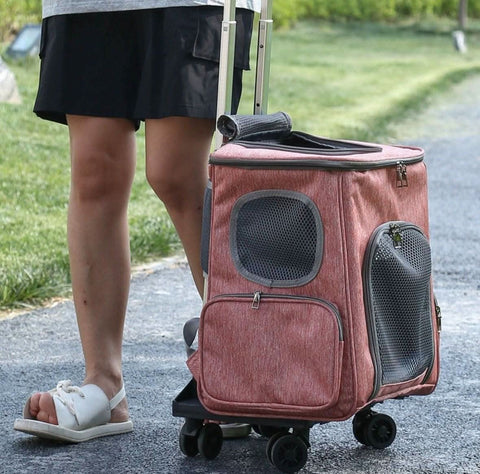 Portable PET Backpack Foldable Dogs and Cats Strap Travel Flight Case - petsbene