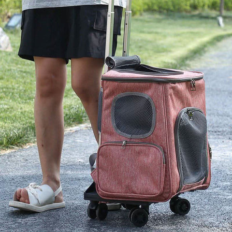 Portable PET Backpack Foldable Dogs and Cats Strap Travel Flight Case - petsbene