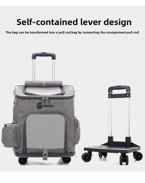 Portable PET Backpack Foldable Dogs and Cats Strap Travel Flight Case - petsbene