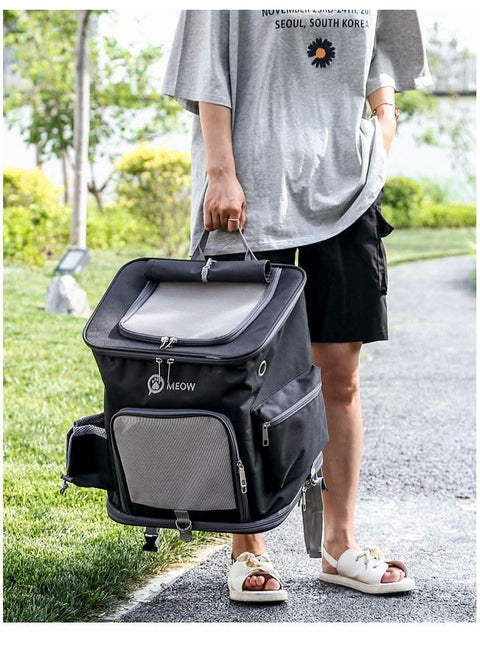 Portable PET Backpack Foldable Dogs and Cats Strap Travel Flight Case - petsbene