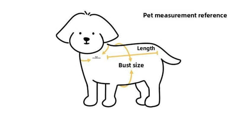 Portable PET Bag for Cats and Small Dogs - petsbene