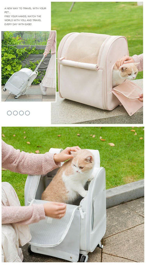 Portable Pet Tugging Set Large capacity Cat Carrier Oxford Fabric - petsbene